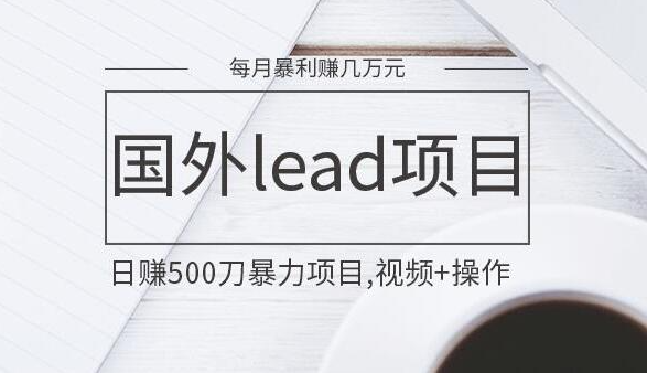 国外lead日赚500刀暴力项目,视频+操作