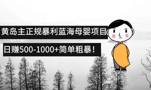 黄岛主正规暴利蓝海母婴项目,日赚500-1000+简单粗暴！