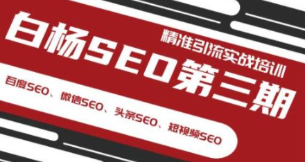 白杨SEO第三期精准引流实战培训（百度SEO、微信SEO、头条SEO、短视频SEO）