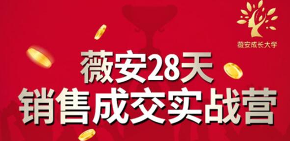 薇安28天销售成交实战营，5分钟成交3万，实现了月入近6位数的营收