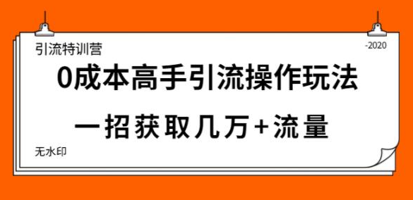 引流特训营：0成本高手引流操作玩法，一招获取几万+流量