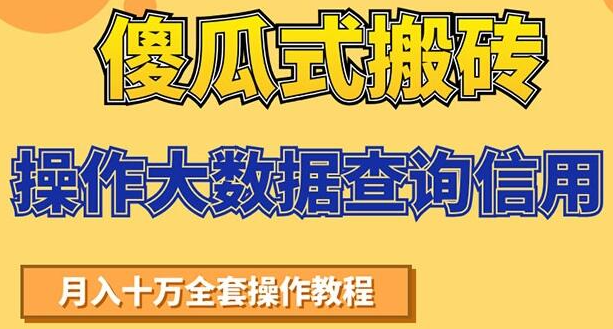 傻瓜式搬砖操作大数据查询信用赚钱方法：助你快速月入6万全套操作教程