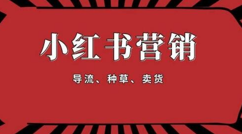 手把手教做小红书帐号，一篇笔记涨粉10000，月入十万的博主秘笈