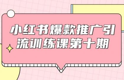 小红书爆款推广引流训练课第十期，手把手带你玩转小红书，轻松月入过万