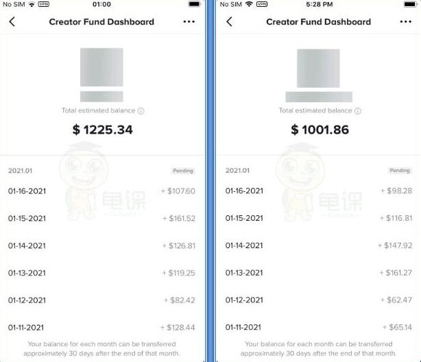 龟课Tik Tok变现实战训练营线上第2期：日入上百+美刀 月收益上万不成问题