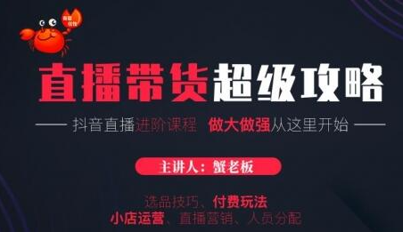 抖音直播带货超级攻略：抖音直播带货的详细玩法，小店运营、付费投放等