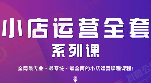 小店运营全套系列课 从基础入门到进阶精通，系统掌握月销百万小店核心秘密