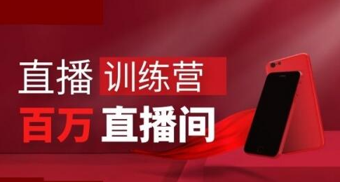 直播训练营：打造百万销售直播间 教会你如何直播带货，抓住直播大风口