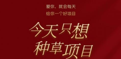 【520更新】抖音跳绳赚钱项目，一年减掉35斤顺便赚了50万