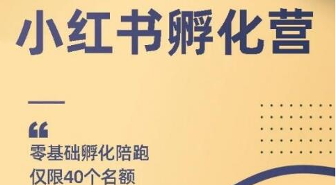 勇哥小红书撸金快速起量项目：教你如何快速起号获得曝光，做到月躺赚在3000+