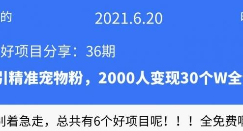 [36期]闲鱼引精准宠物粉，2000粉变现30个W全记录