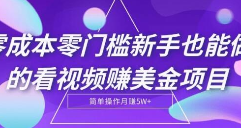 看视频1小时赚28美金零投入项目