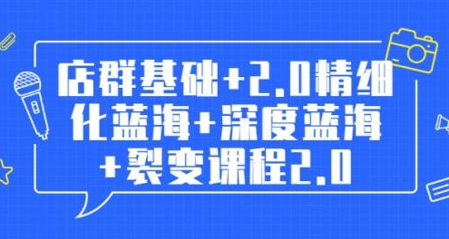 孤狼电商店群全套教程：店群基础+2.0精细化蓝海+深度蓝海+裂变课程2.0