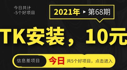 [68期]tiktok不会安装？装一次10块钱，这信息差赚死人啊