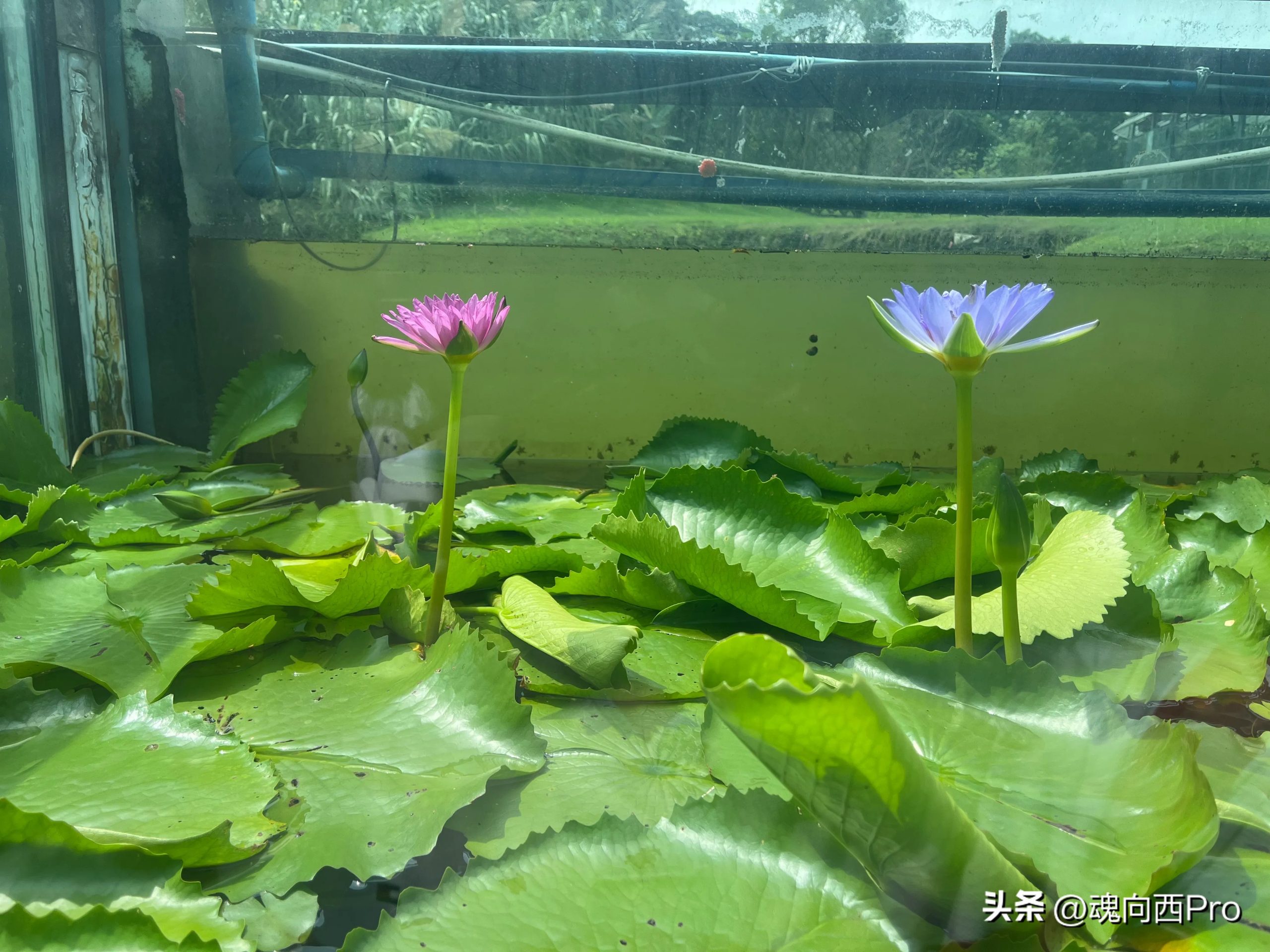 终极断舍离：告别生意，追寻平凡生活的心灵之旅