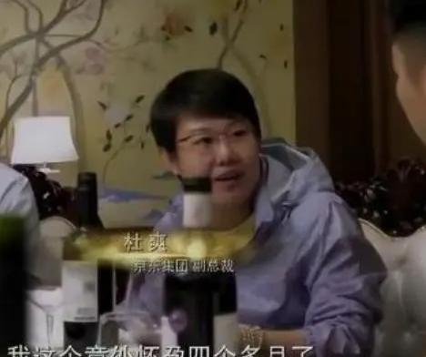 职场女性的挑战：刘强东与杜爽的故事及工作与生活的平衡