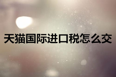 天猫国际如何缴纳进口税？具体流程与支付方式详解