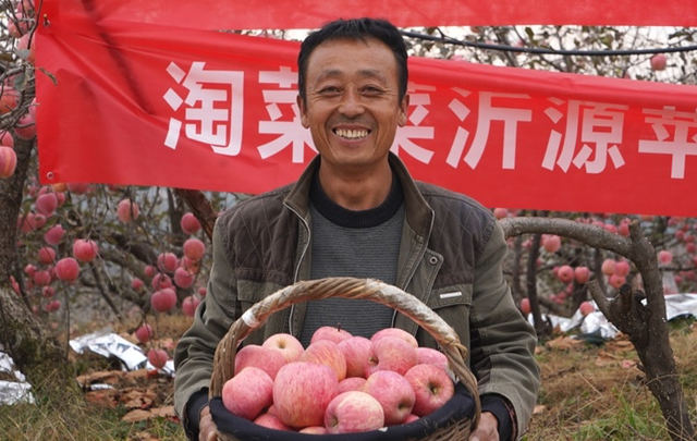 山东沂源苹果采摘季开启，淘菜菜助力果农直通万亿市场