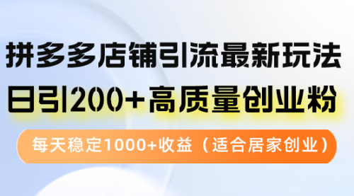 拼多多店铺引流最新玩法，日引200+高质量创业粉